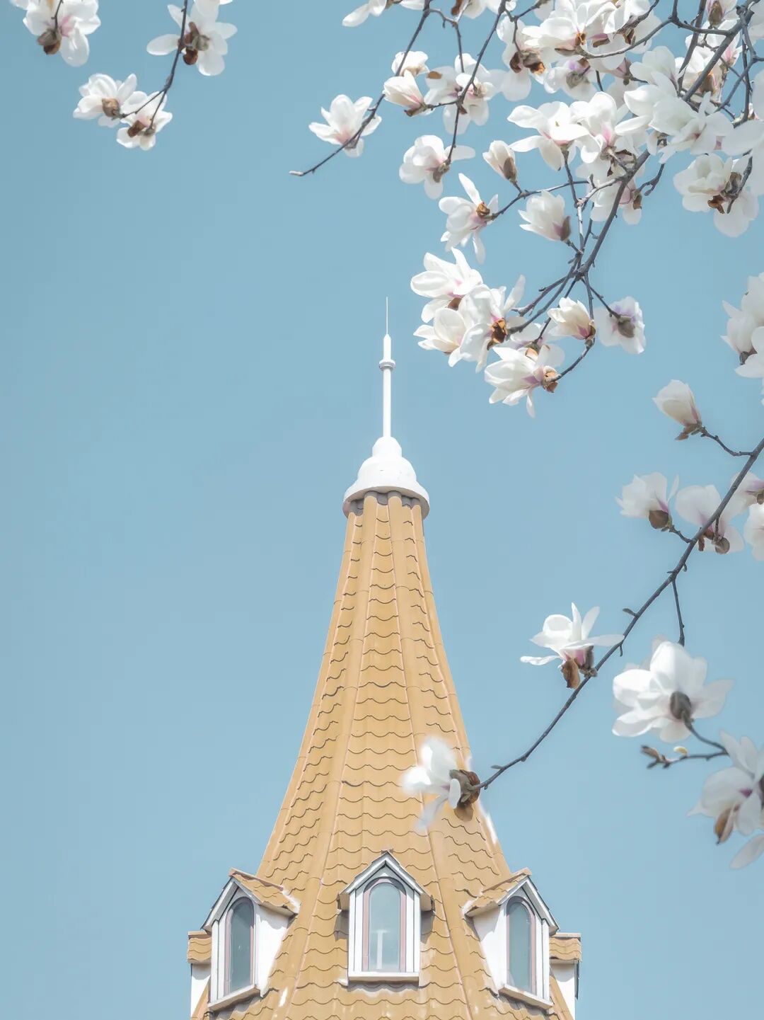 640 (7).jpg 640 (7).jpg