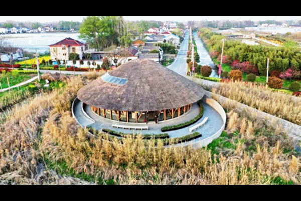 图片 (3).gif 图片 (3).gif