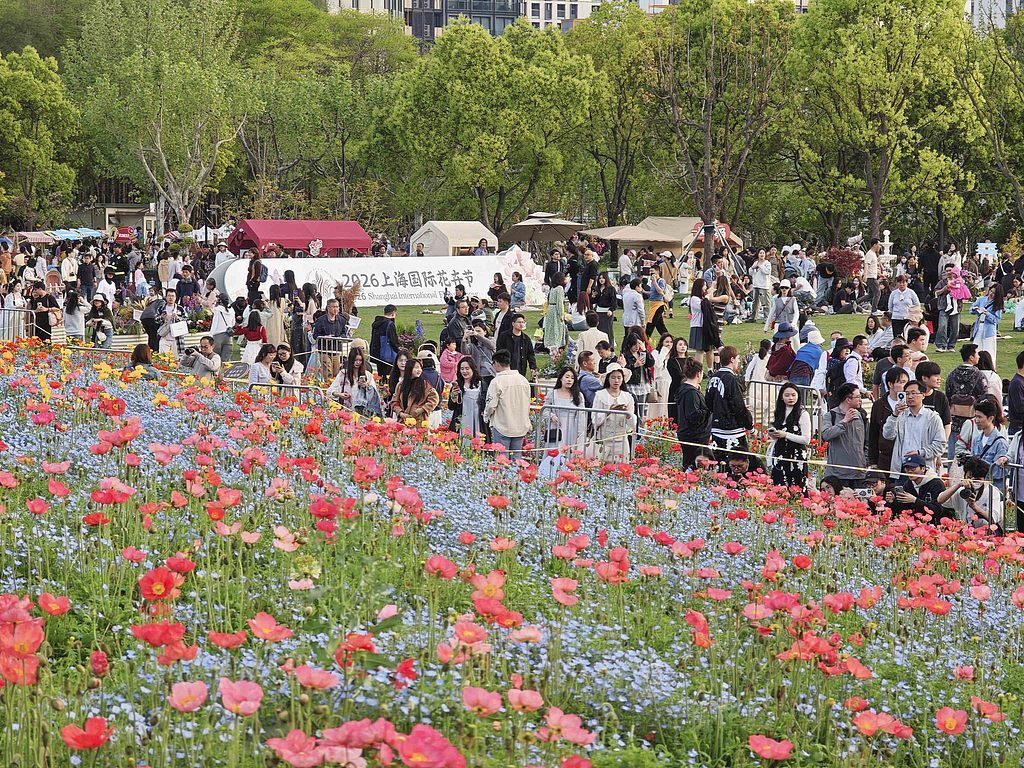 012.jpg 012.jpg